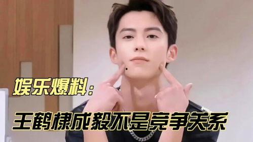 王鹤棣成毅最新八卦爆料,娱乐圈再掀波澜 第1张 王鹤棣成毅最新八卦爆料,娱乐圈再掀波澜 第1张